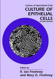 бесплатно читать книгу Culture of Epithelial Cells автора R. Freshney