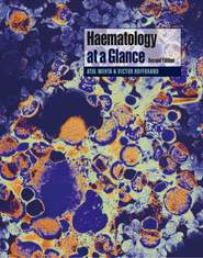 бесплатно читать книгу Haematology at a Glance автора A. Victor Hoffbrand