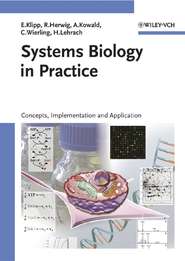 бесплатно читать книгу Systems Biology in Practice автора Edda Klipp