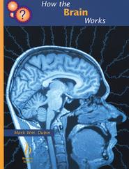 бесплатно читать книгу How the Brain Works автора 