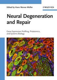 бесплатно читать книгу Neural Degeneration and Repair автора 