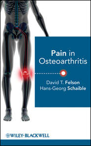 бесплатно читать книгу Pain in Osteoarthritis автора Hans-Georg Schaible