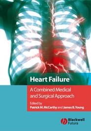 бесплатно читать книгу Heart Failure автора James Young