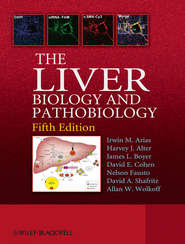 бесплатно читать книгу The Liver автора Nelson Fausto