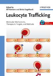 бесплатно читать книгу Leukocyte Trafficking автора Alf Hamann