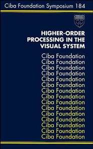 бесплатно читать книгу Higher-Order Processing in the Visual System автора Gregory Bock