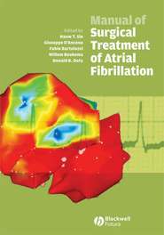 бесплатно читать книгу Manual of Surgical Treatment of Atrial Fibrillation автора Giuseppe D'Ancona