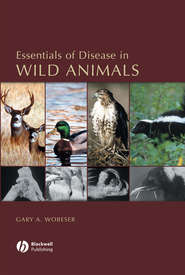 бесплатно читать книгу Essentials of Disease in Wild Animals автора 