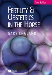 бесплатно читать книгу Fertility and Obstetrics in the Horse автора 