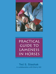 бесплатно читать книгу Practical Guide to Lameness in Horses автора Cherry Hill