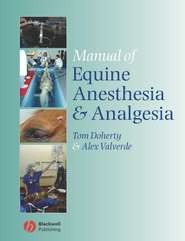 бесплатно читать книгу Manual of Equine Anesthesia and Analgesia автора Tom Doherty