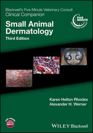 бесплатно читать книгу Blackwell's Five-Minute Veterinary Consult Clinical Companion автора Karen Rhodes