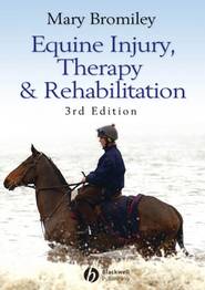 бесплатно читать книгу Equine Injury, Therapy and Rehabilitation автора 