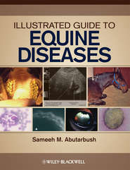 бесплатно читать книгу Illustrated Guide to Equine Diseases автора 