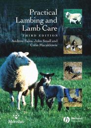 бесплатно читать книгу Practical Lambing and Lamb Care автора Andrew Eales