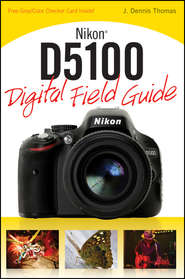 бесплатно читать книгу Nikon D5100 Digital Field Guide автора J. Thomas