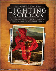 бесплатно читать книгу Kevin Kubota's Lighting Notebook автора Kevin Kubota