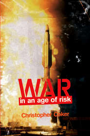 бесплатно читать книгу War in an Age of Risk автора 