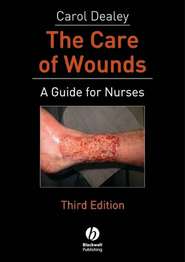 бесплатно читать книгу The Care of Wounds автора 