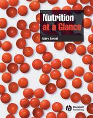 бесплатно читать книгу Nutrition at a Glance автора 