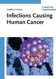 бесплатно читать книгу Infections Causing Human Cancer автора 