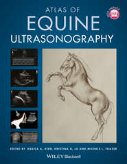 бесплатно читать книгу Atlas of Equine Ultrasonography автора Kristina Lu