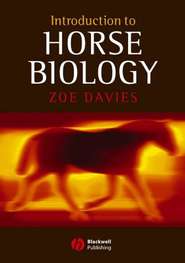 бесплатно читать книгу Introduction to Horse Biology автора 