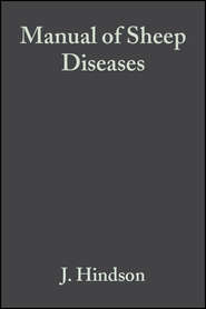 бесплатно читать книгу Manual of Sheep Diseases автора J. Hindson