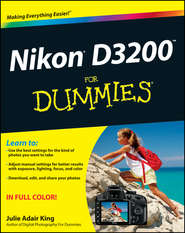 бесплатно читать книгу Nikon D3200 For Dummies автора Julie King