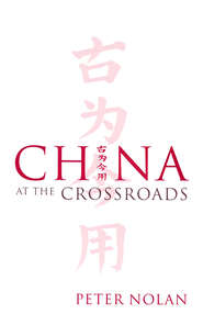 бесплатно читать книгу China at the Crossroads автора 