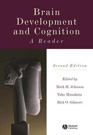 бесплатно читать книгу Brain Development and Cognition автора Yuko Munakata
