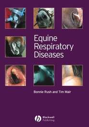 бесплатно читать книгу Equine Respiratory Diseases автора Tim Mair