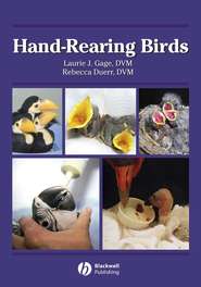 бесплатно читать книгу Hand-Rearing Birds автора Rebecca Duerr