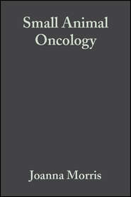 бесплатно читать книгу Small Animal Oncology автора Joanna Morris
