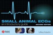 бесплатно читать книгу Small Animal ECGs автора 