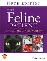 бесплатно читать книгу The Feline Patient автора 