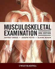 бесплатно читать книгу Musculoskeletal Examination автора Jeffrey Gross