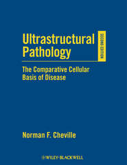 бесплатно читать книгу Ultrastructural Pathology автора 