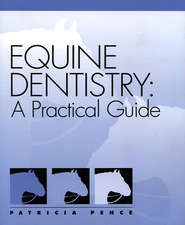 бесплатно читать книгу Equine Dentistry автора 
