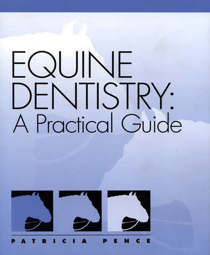 бесплатно читать книгу Equine Dentistry автора 