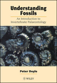 бесплатно читать книгу Understanding Fossils автора 
