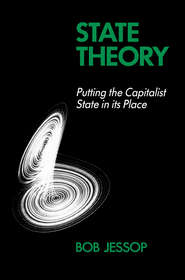 бесплатно читать книгу State Theory автора 
