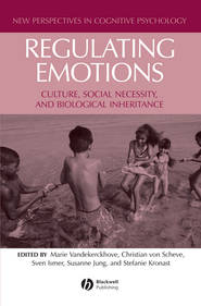 бесплатно читать книгу Regulating Emotions автора Marie Vandekerckhove