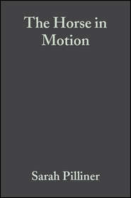 бесплатно читать книгу The Horse in Motion автора Sarah Pilliner
