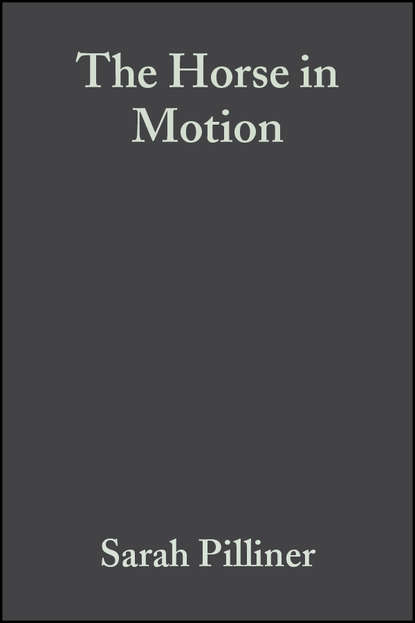 бесплатно читать книгу The Horse in Motion автора Sarah Pilliner