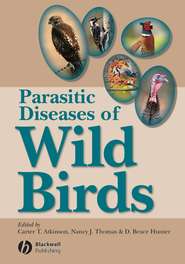 бесплатно читать книгу Parasitic Diseases of Wild Birds автора D. Hunter