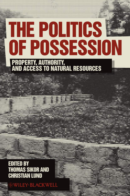 бесплатно читать книгу The Politics of Possession автора Christian Lund