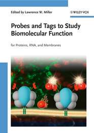 бесплатно читать книгу Probes and Tags to Study Biomolecular Function автора 