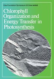 бесплатно читать книгу Chlorophyll Organization and Energy Transfer in Photosynthesis автора  CIBA Foundation Symposium