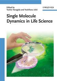 бесплатно читать книгу Single Molecule Dynamics in Life Science автора Toshio Yanagida